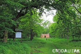 Első igazi randink, csak te meg én